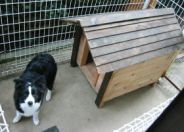 室外のサークル内に置く、ボーダーコリー用の犬小屋。厚板タイプでの製作